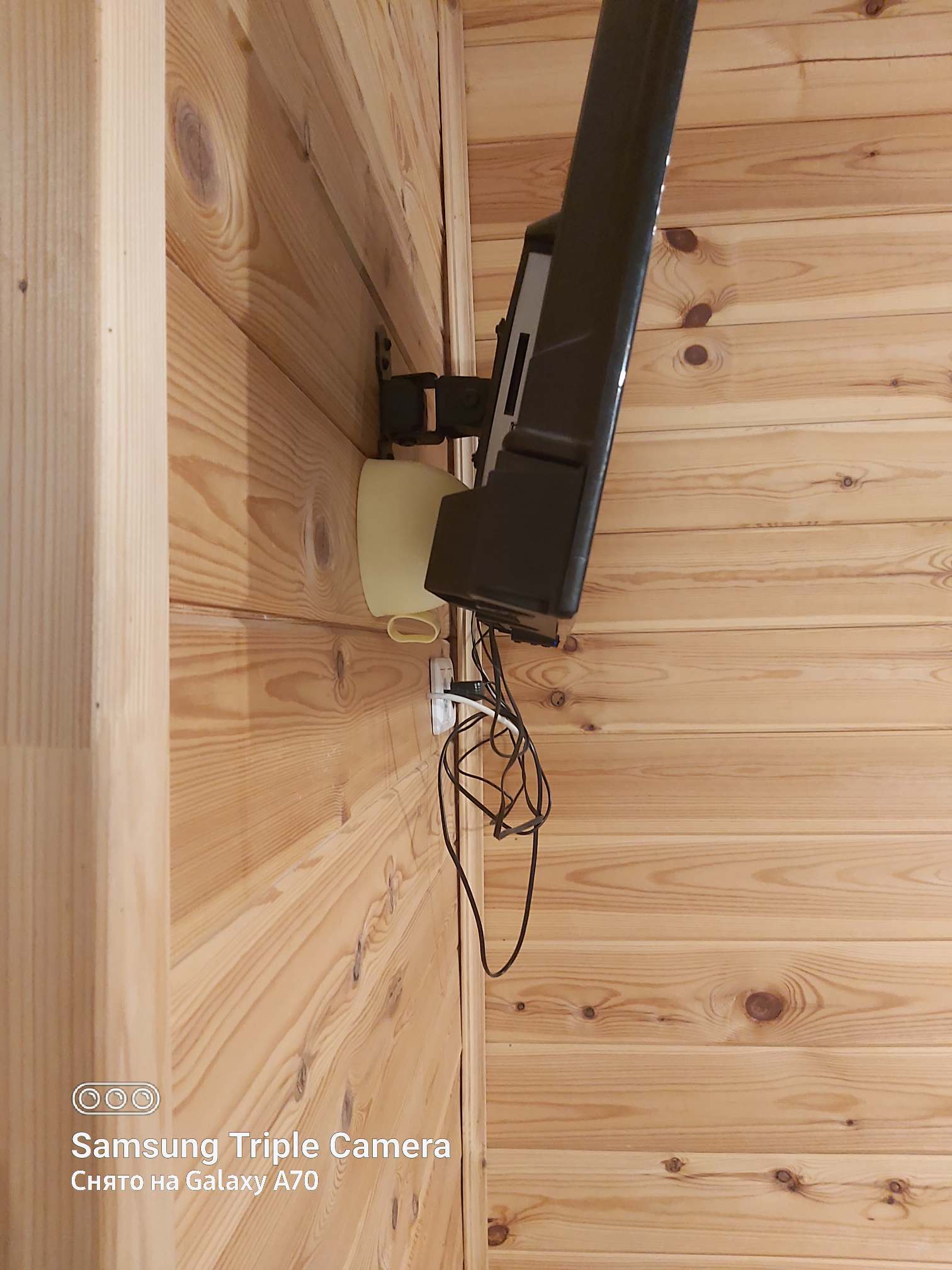 Фото Сосновый бор