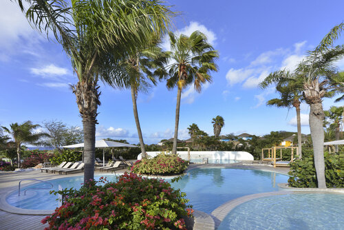 Гостиница Chogogo Dive & Beach Resort Curacao в Виллемстаде