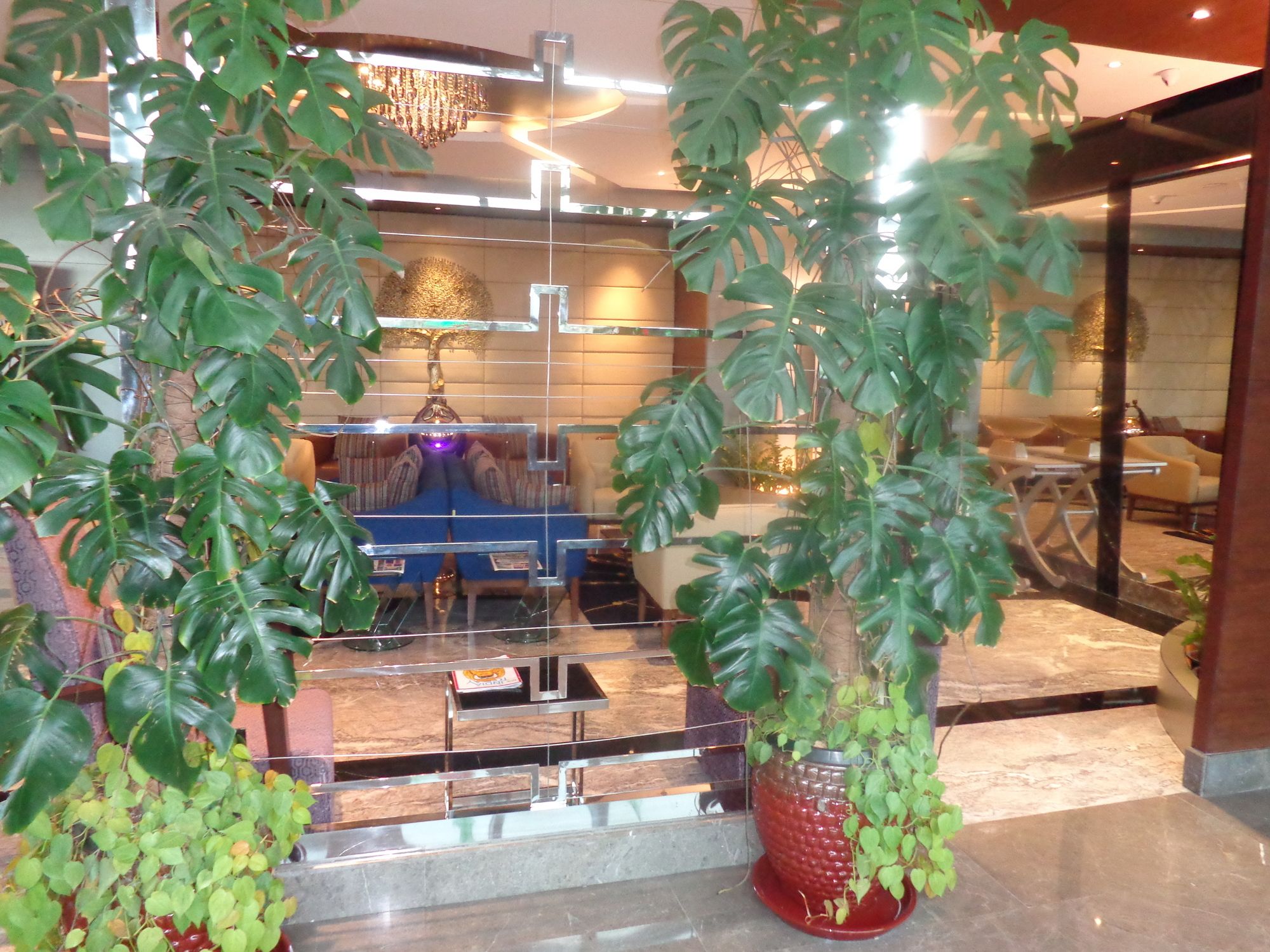 Фото Radisson Blu Pune Hinjawadi