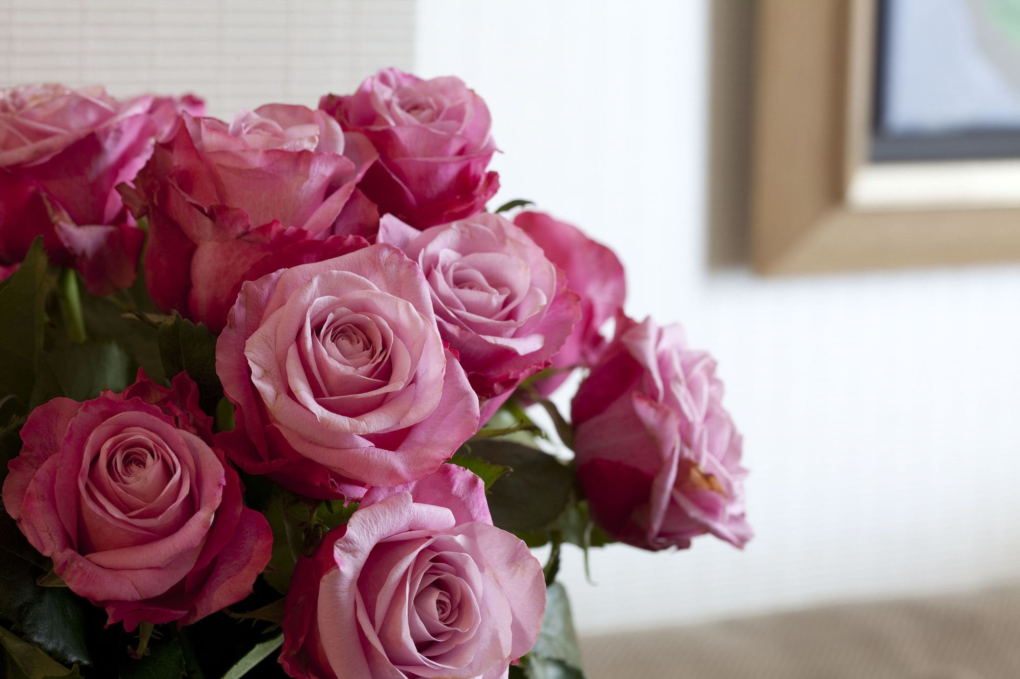 Фото Hôtel Le Sénat