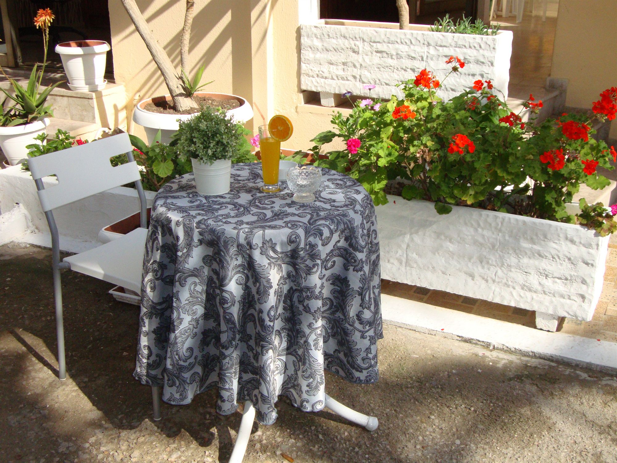 Фото Hotel Rachel