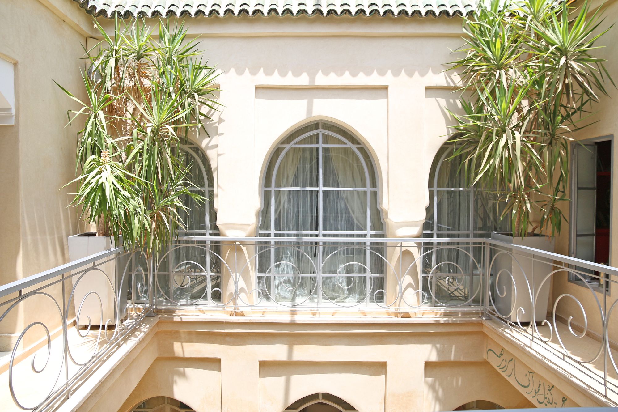 Фото 245169383787