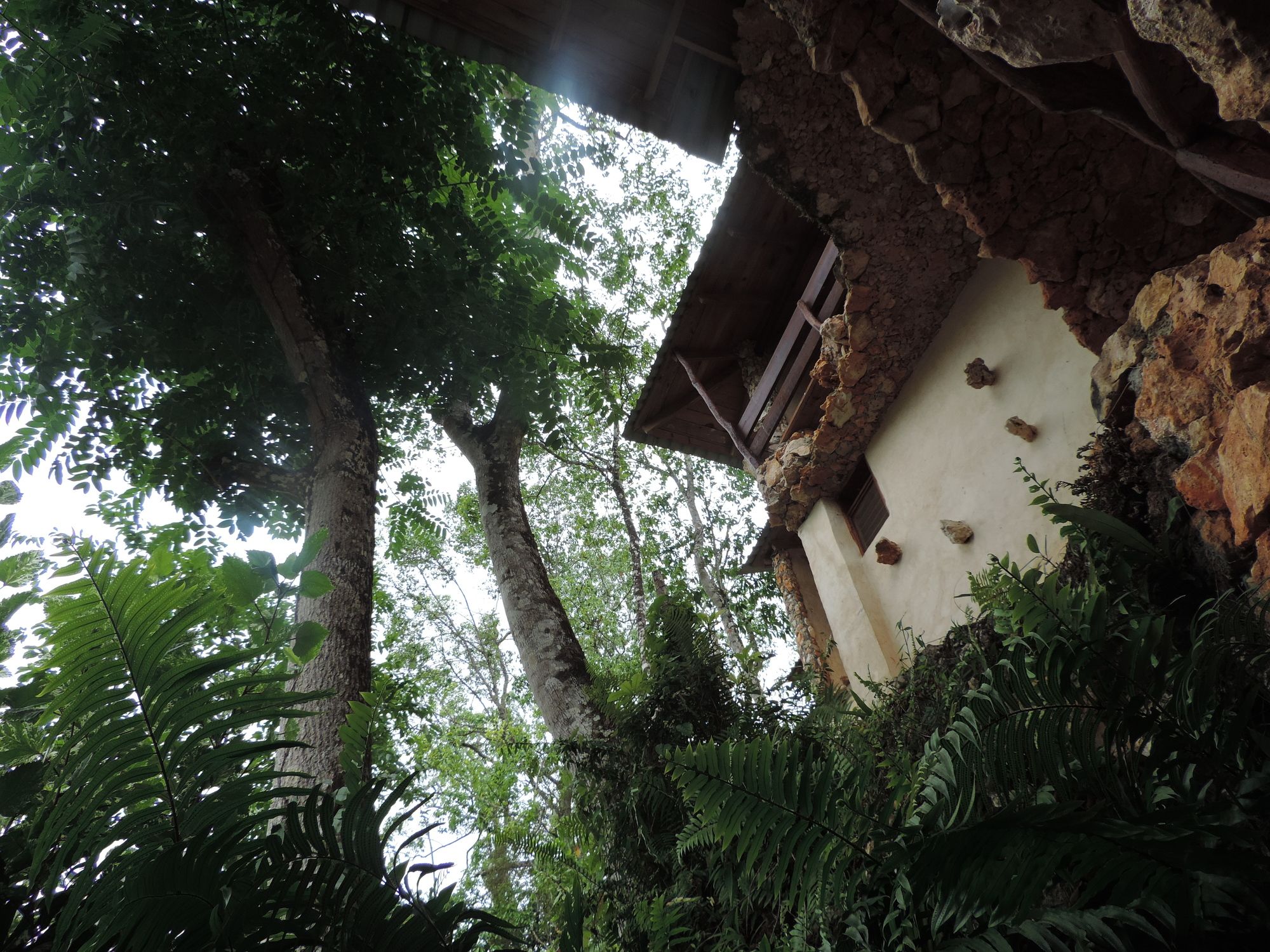 Фото Altos de Caño Hondo