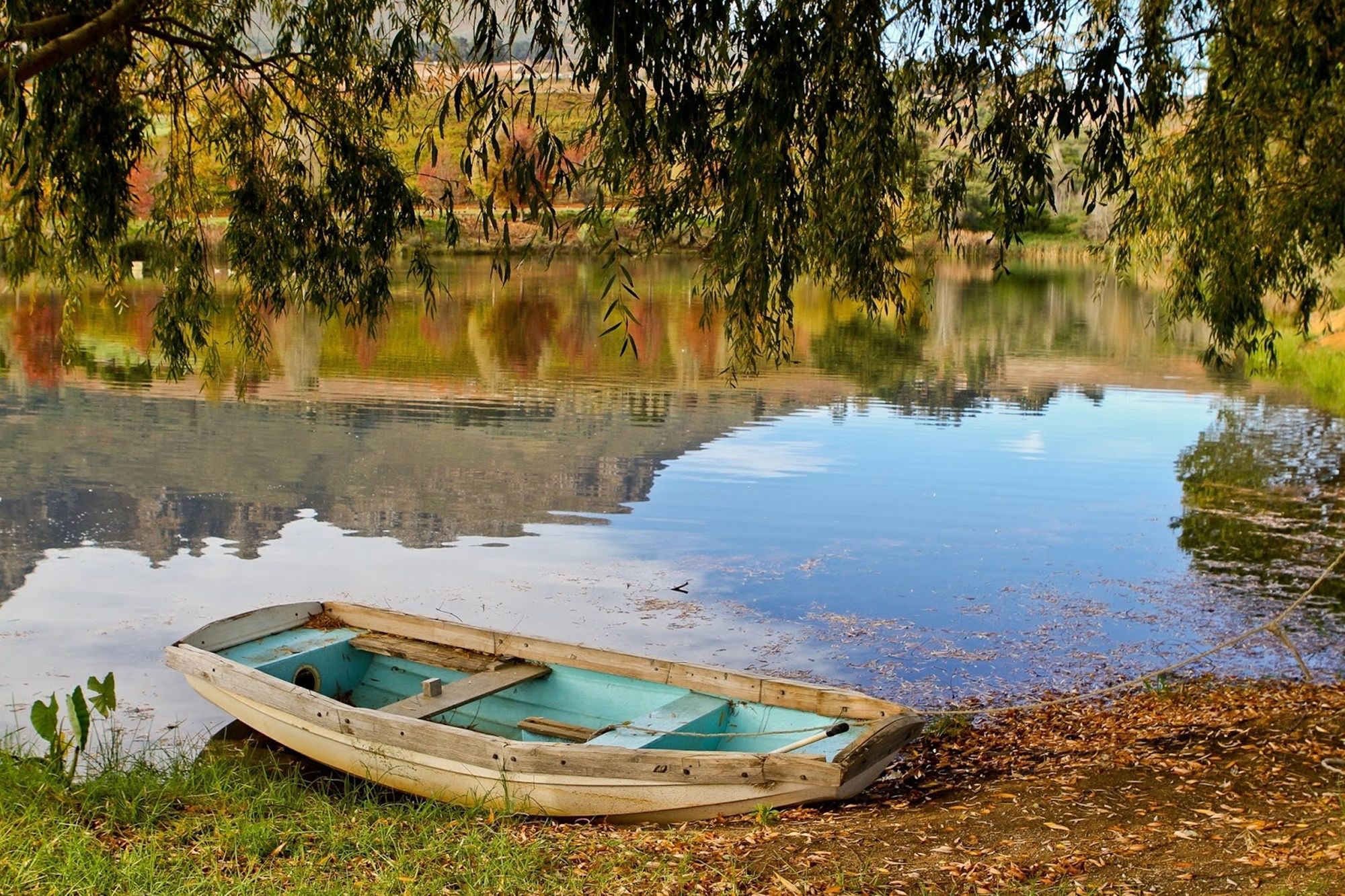 Фото Webersburg Estate