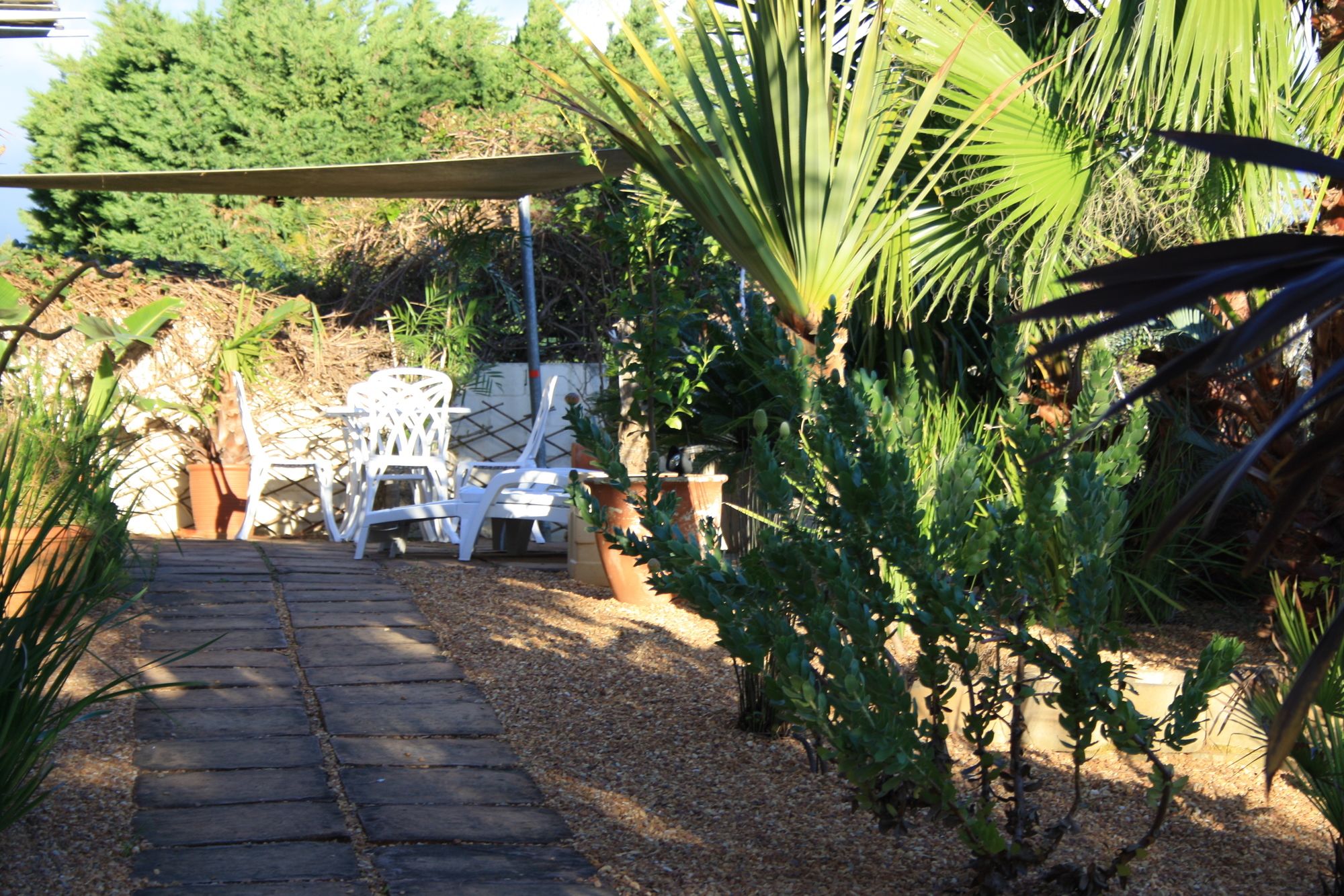 Фото African Dreams Guest House