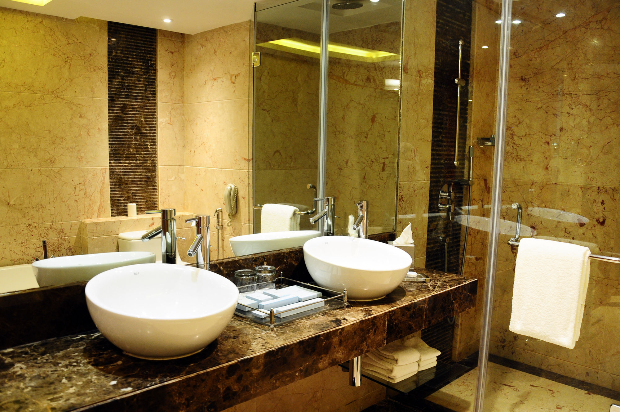 Фото Radisson Blu Plaza Hotel, Delhi Airport