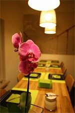 Фото Bamboo Bed & Breakfast