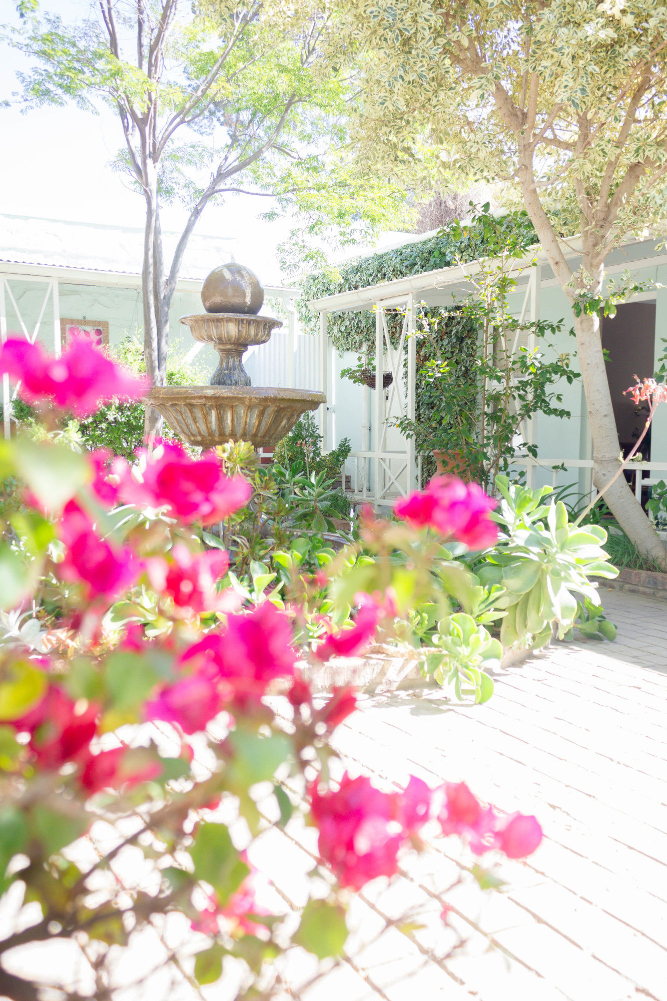 Фото Adley House Guesthouse