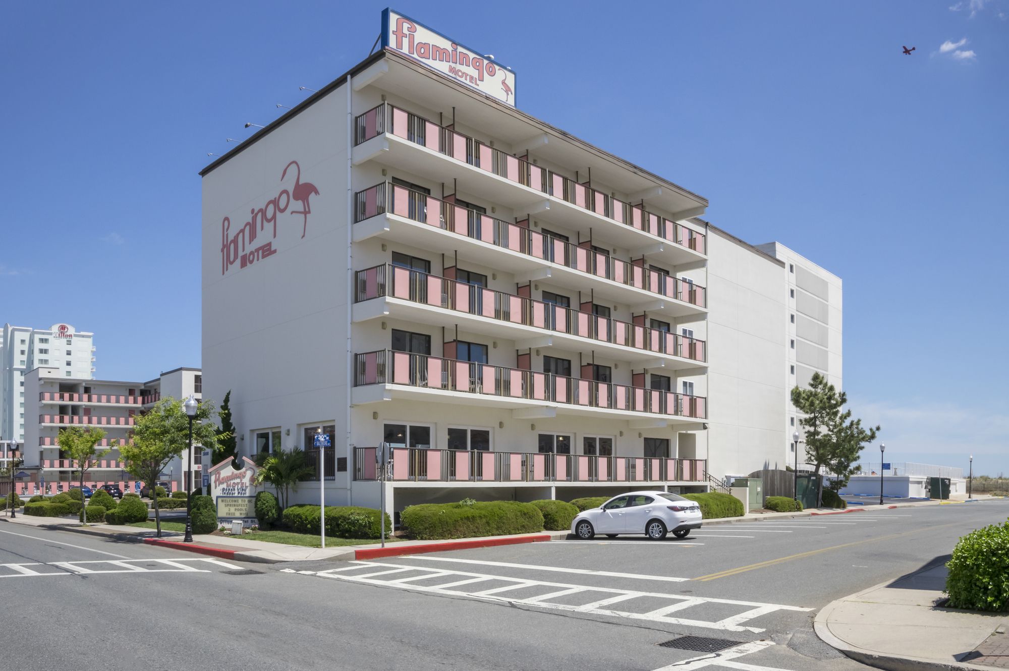 Фото Flamingo Motel