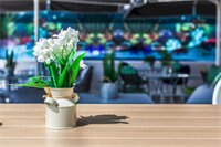 Фото Hotel Apanema Vivari