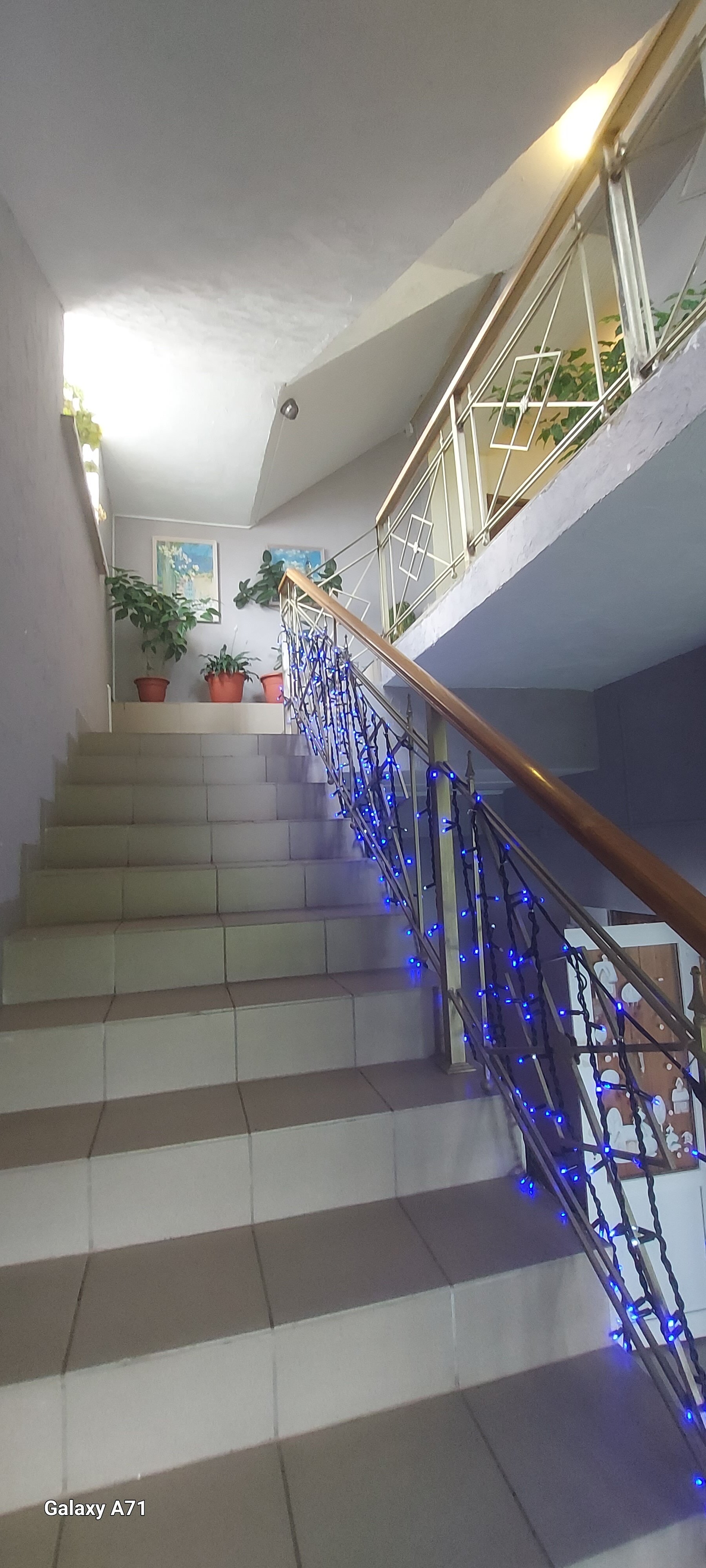 Фото Отель 1812