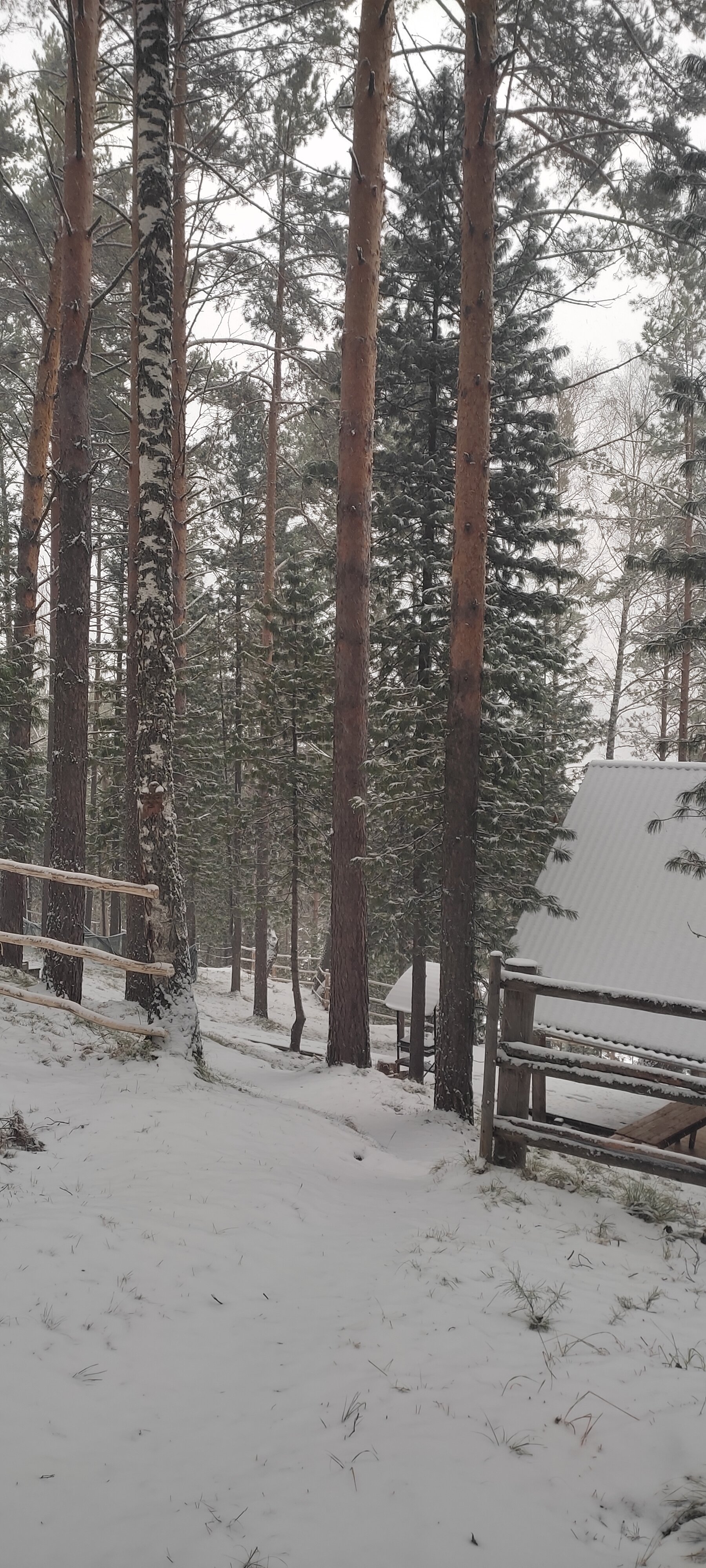 Фото Заимка Речная