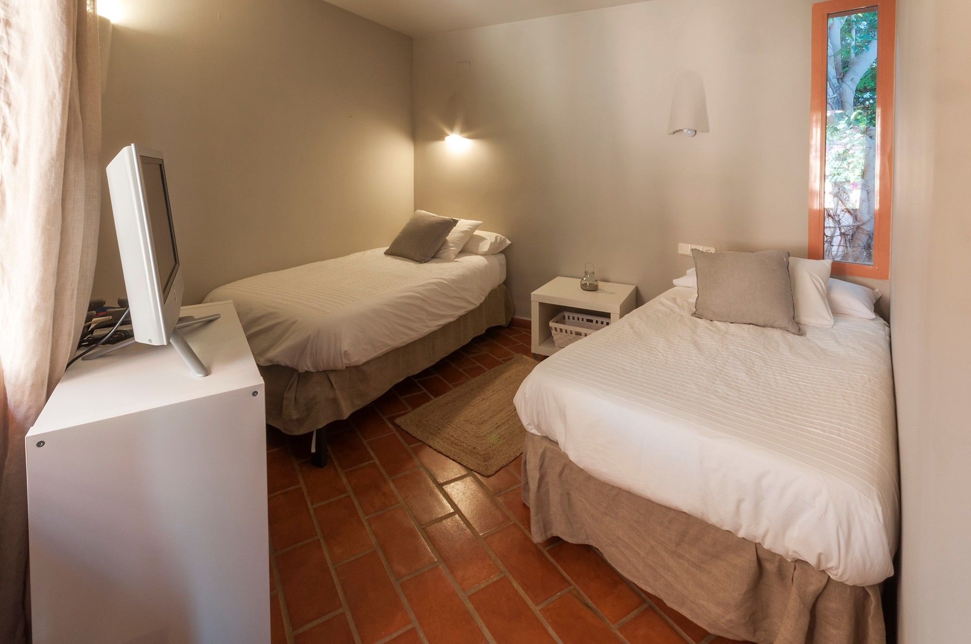 Фото Anemona