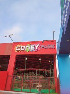 Coney Park Perú (Distrital San Miguel, Boulevard Plaza Mantaro, 108), amusement park