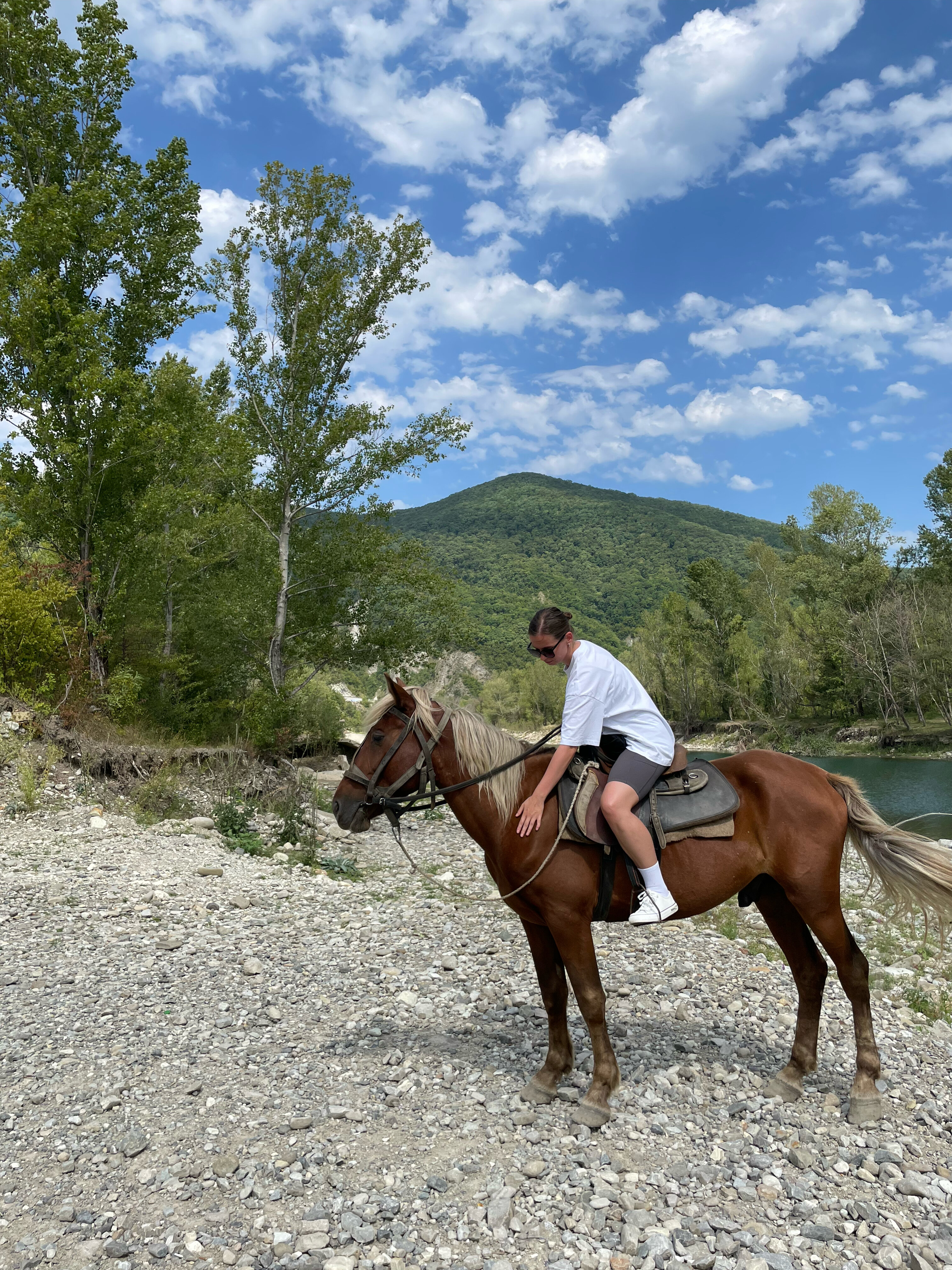 Фото Ланселот