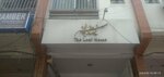 The Leaf House - Plant Shop (Sector F-8, Sector F-8 Markaz, 16A), home goods store