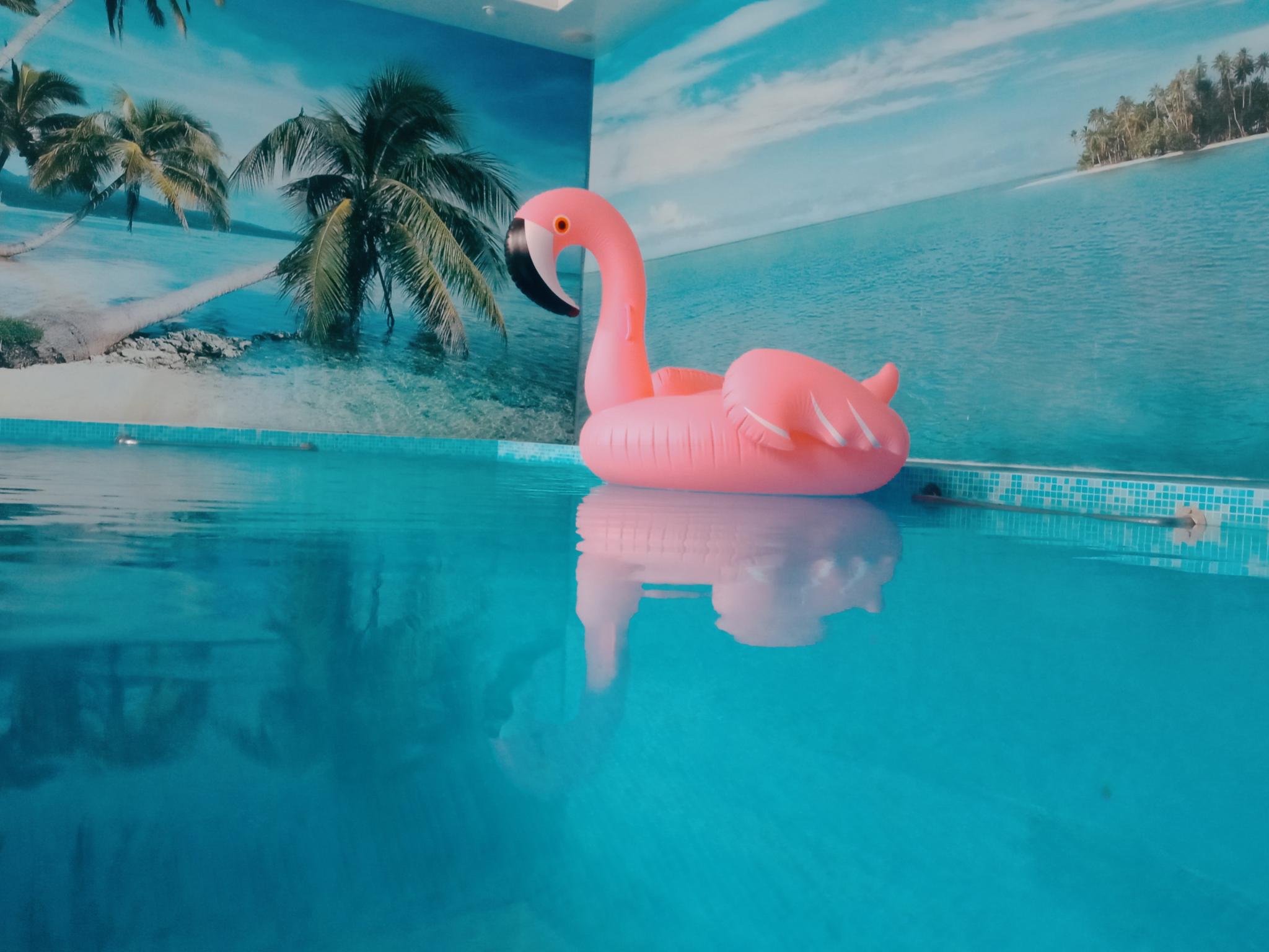 Фото История