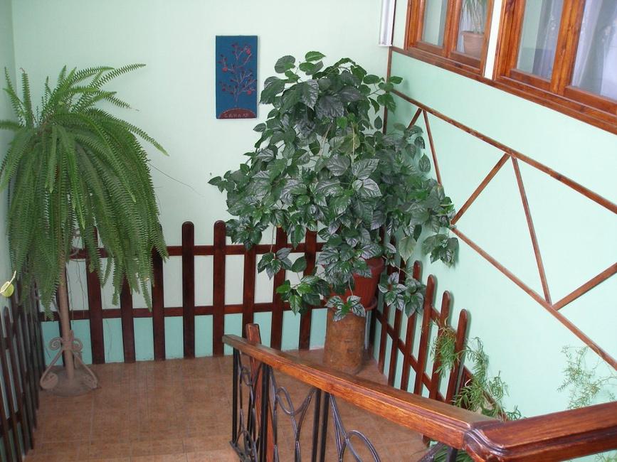 Фото Сезоны