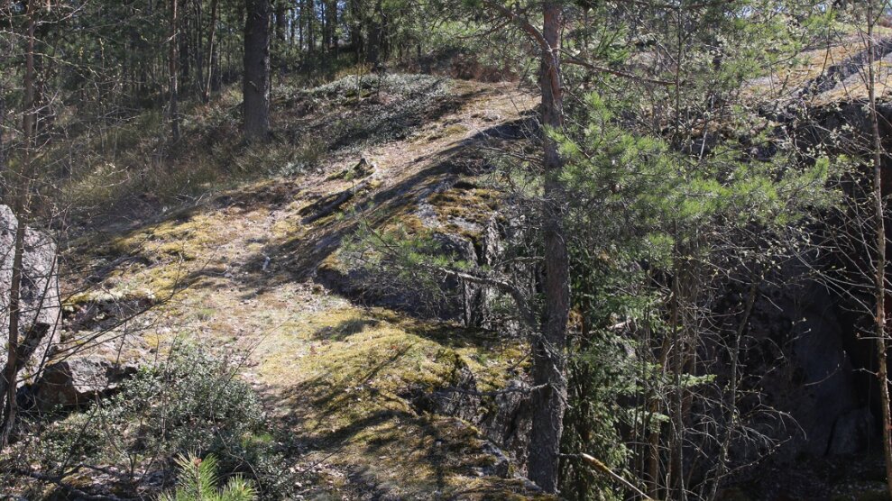 Фото Сканди