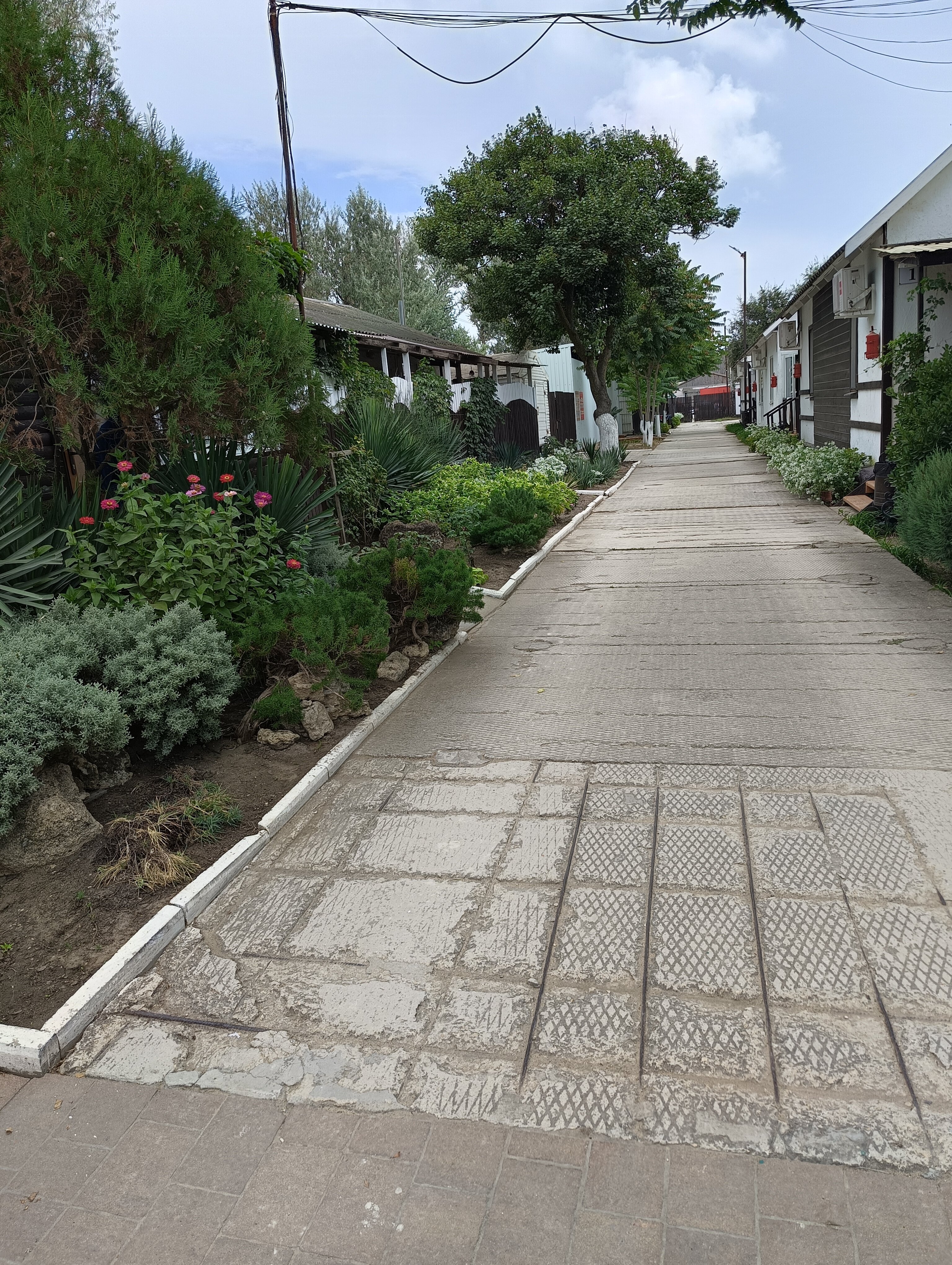 Фото Белый берег