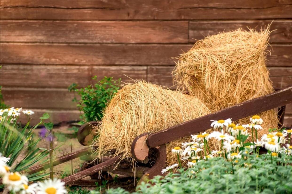 Фото Казачий хуторок