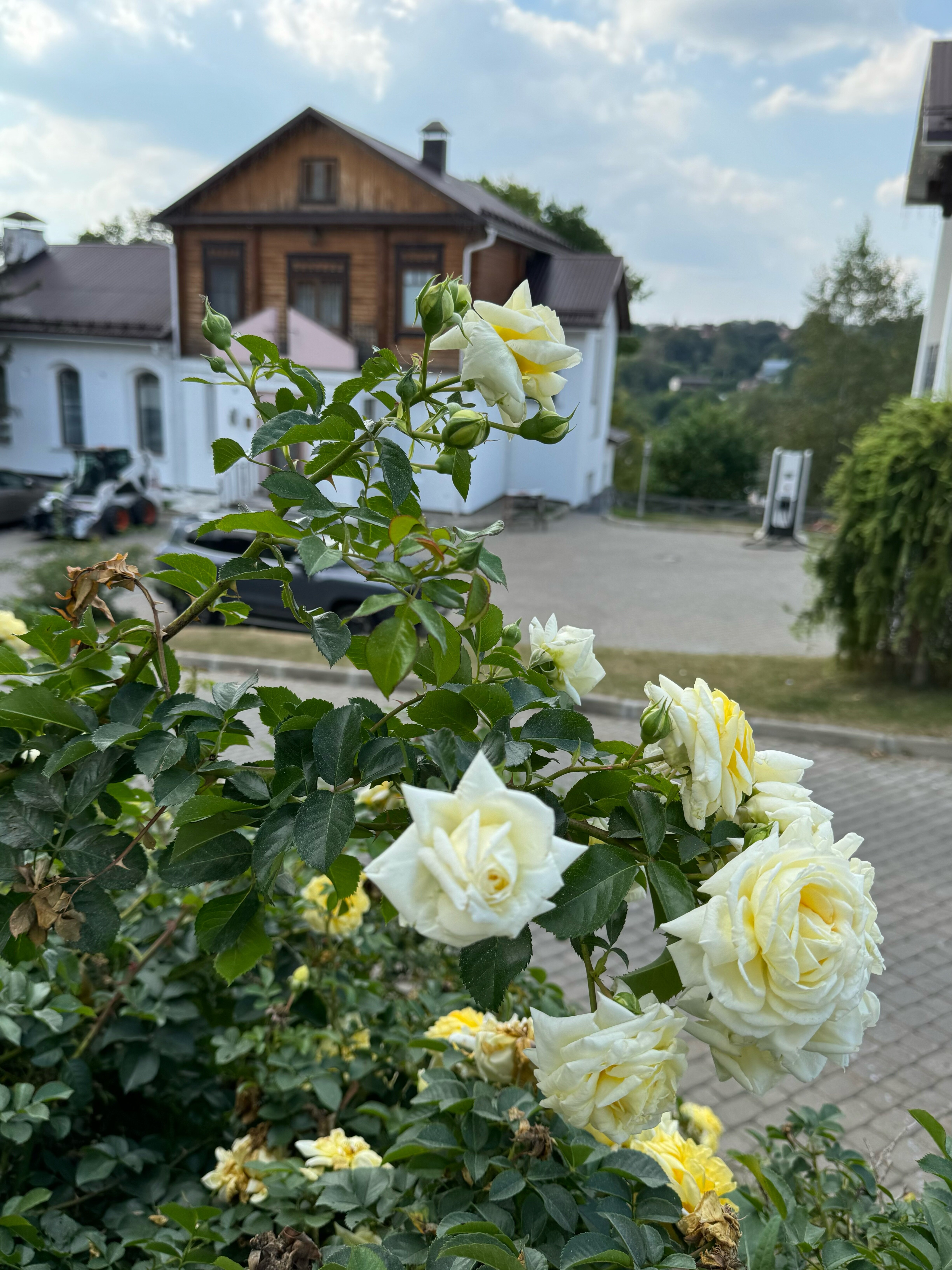 Фото Вознесенская Слобода