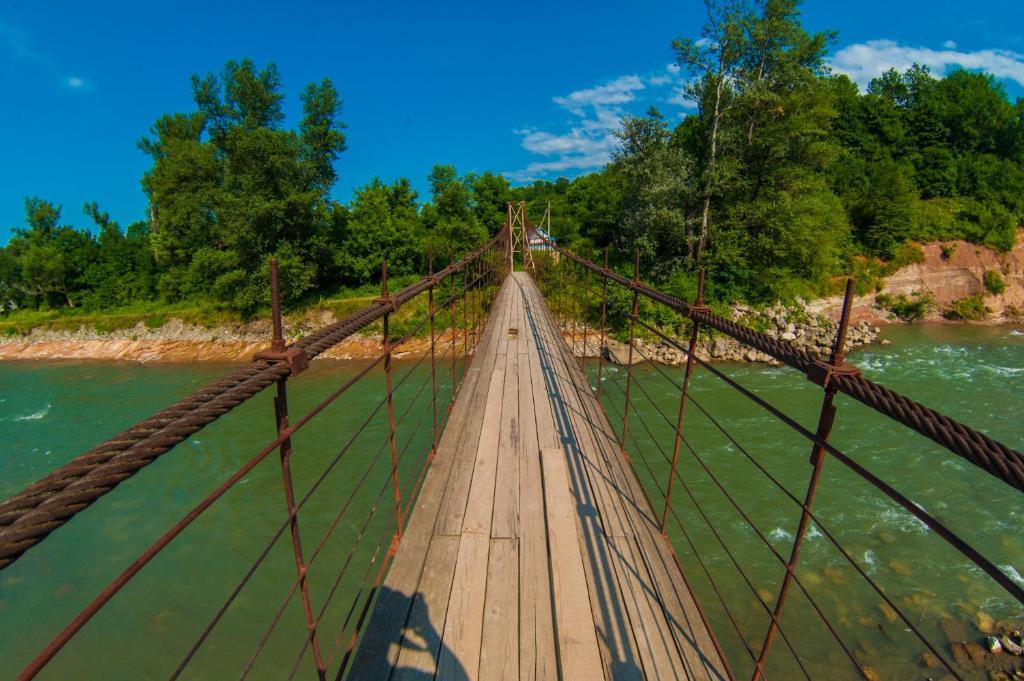 Фото Рябиновые бусы