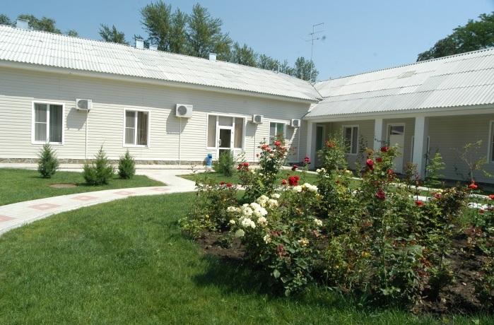 Фото Золотой лев