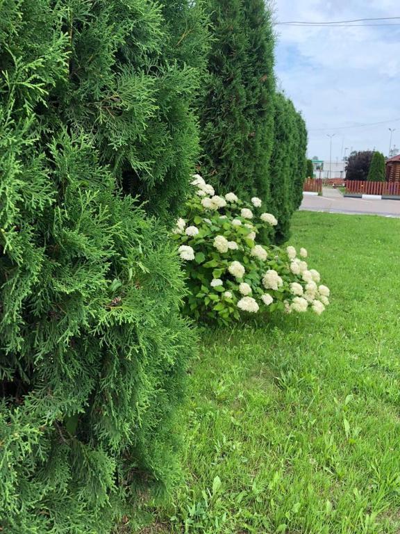 Фото Балтика