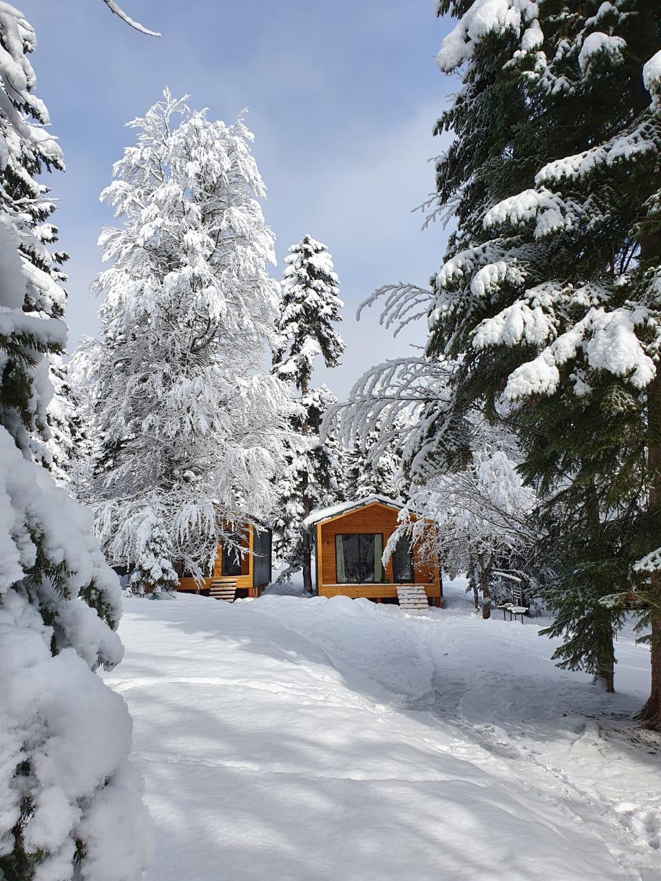 Фото Сияние Family Club