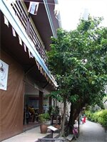 Фото Sabai House