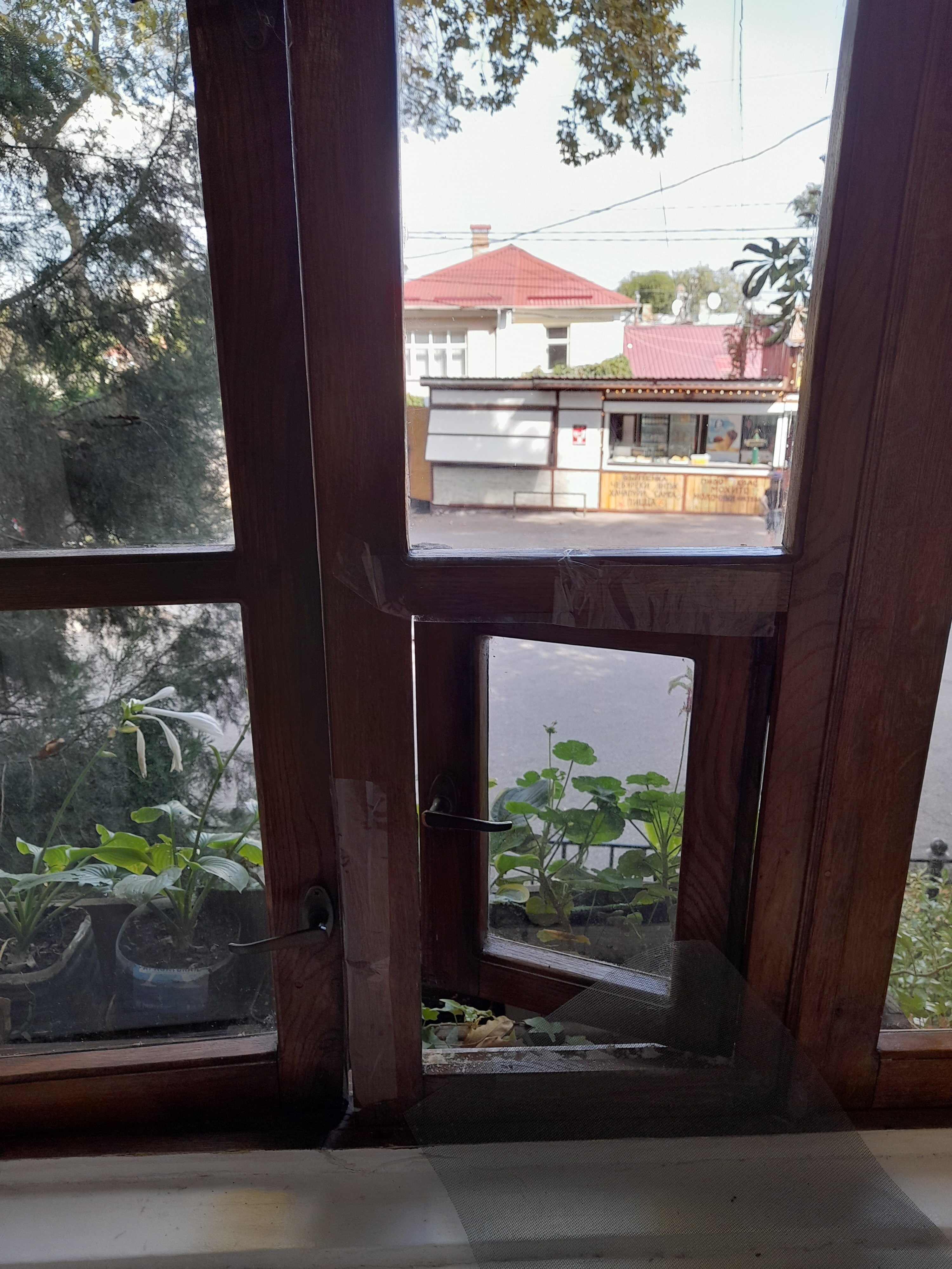 Фото Ливада