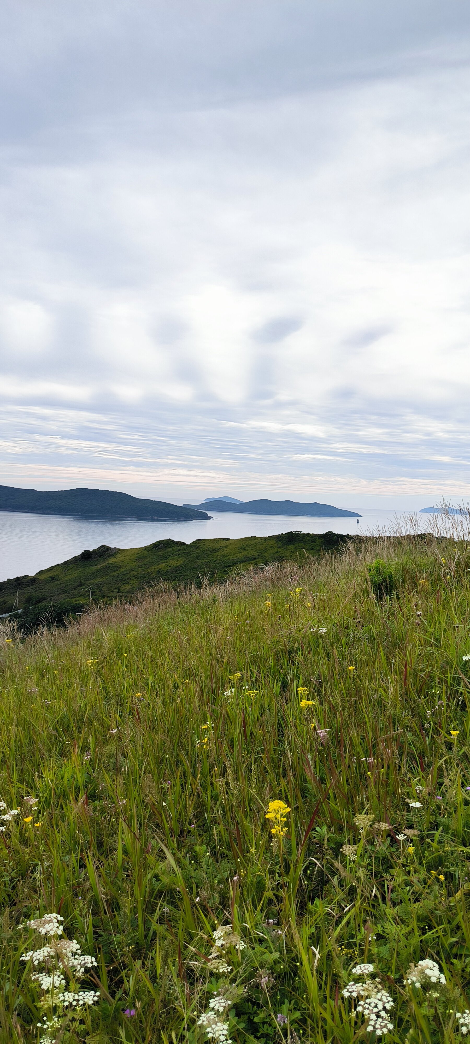 Фото Гружевские