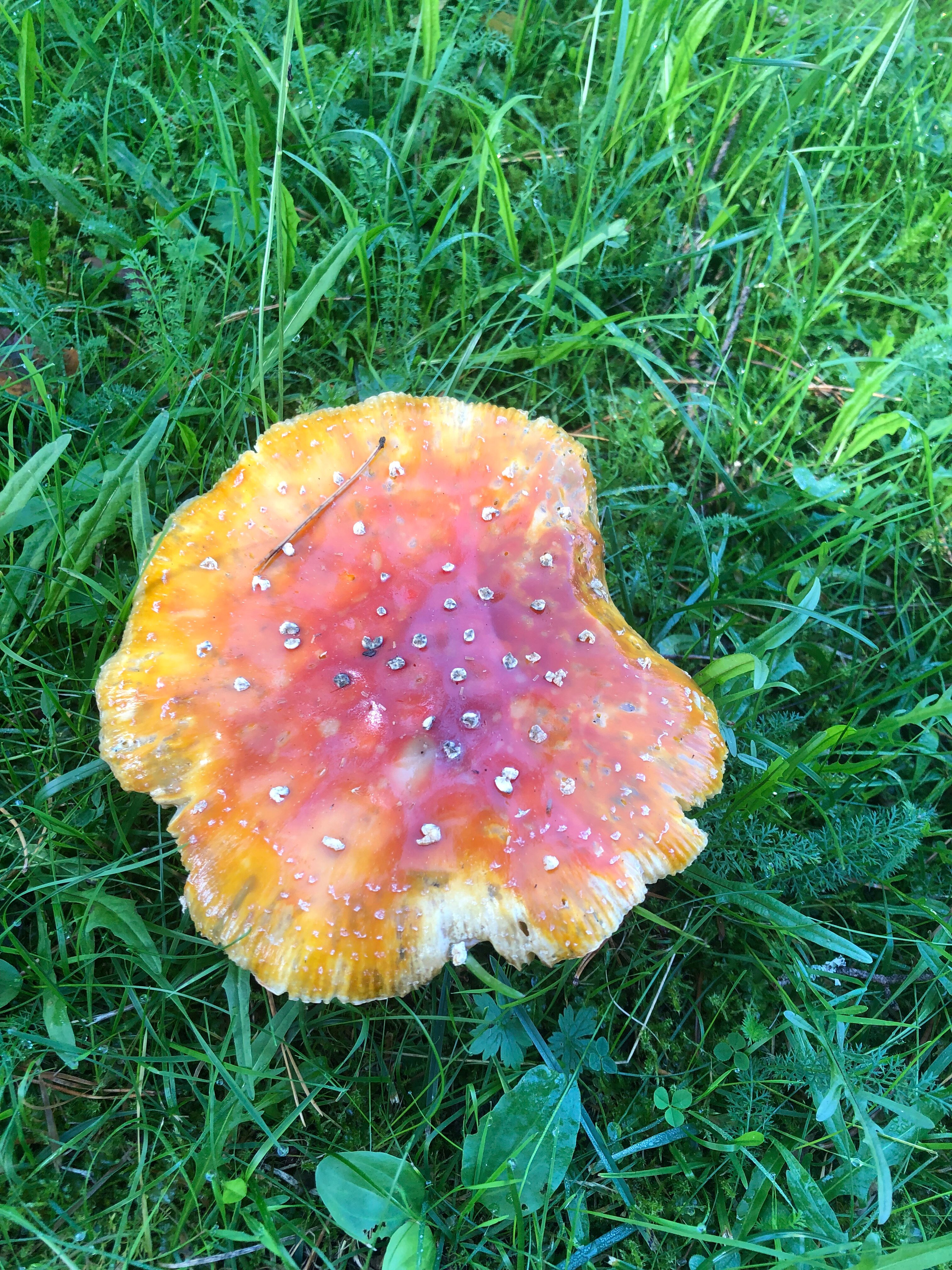 Фото Театральный