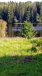 АЗС (stanitsa Novodmitriyevskaya, ulitsa Gorkogo, 116) ، محطة وقود