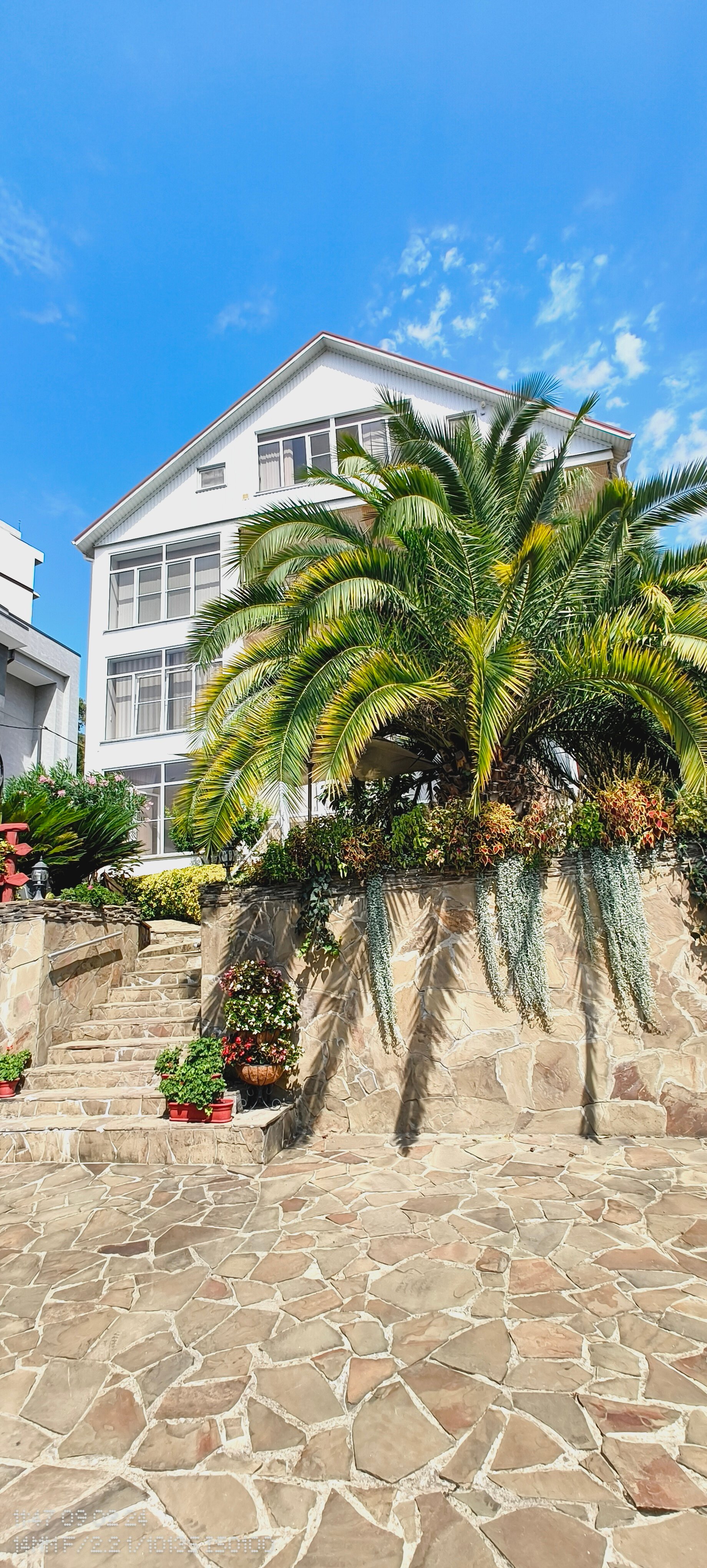 Фото Династия