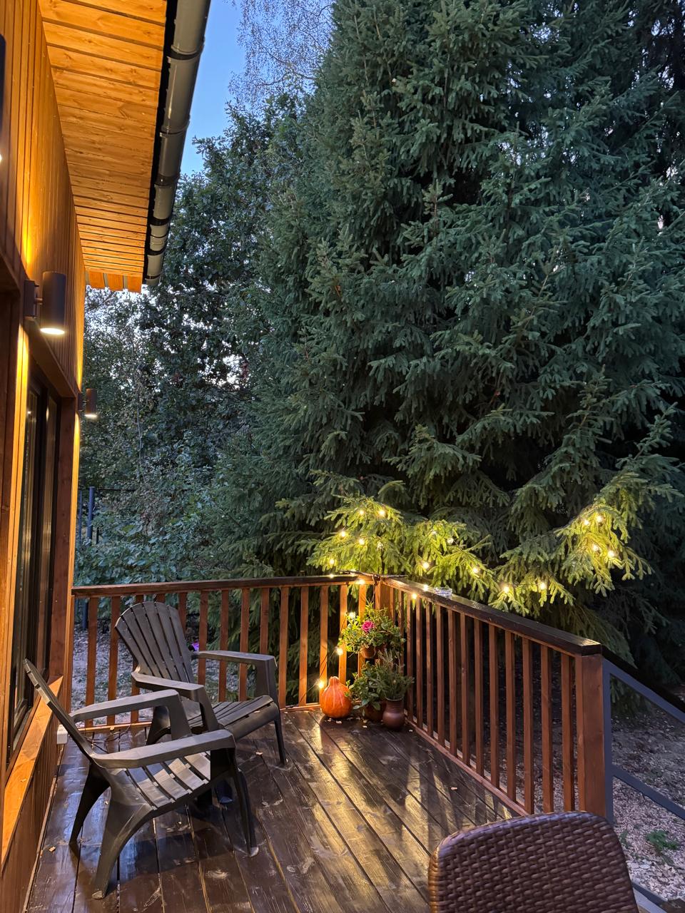 Фото Дом и Елки