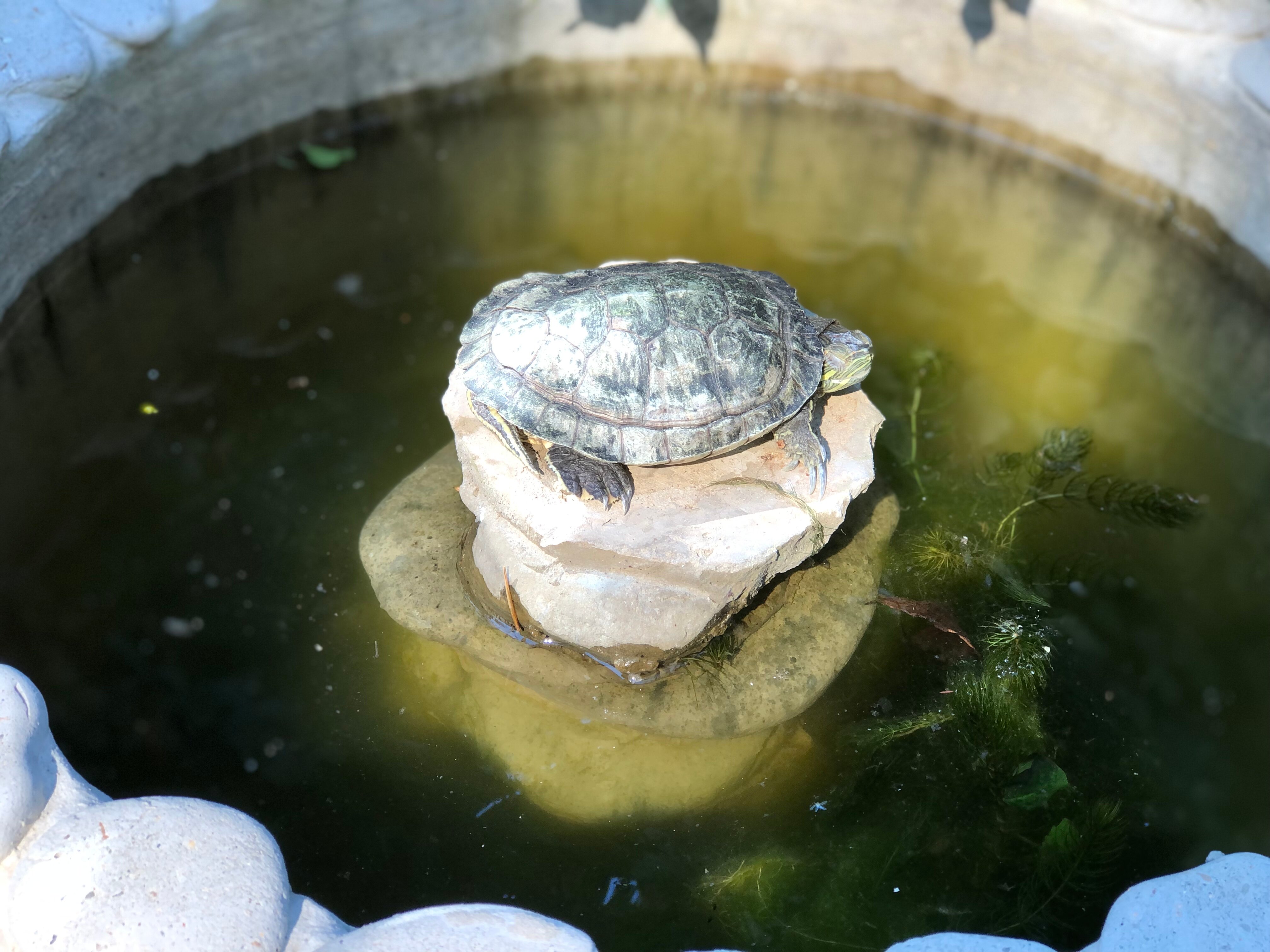 Фото Южный дом