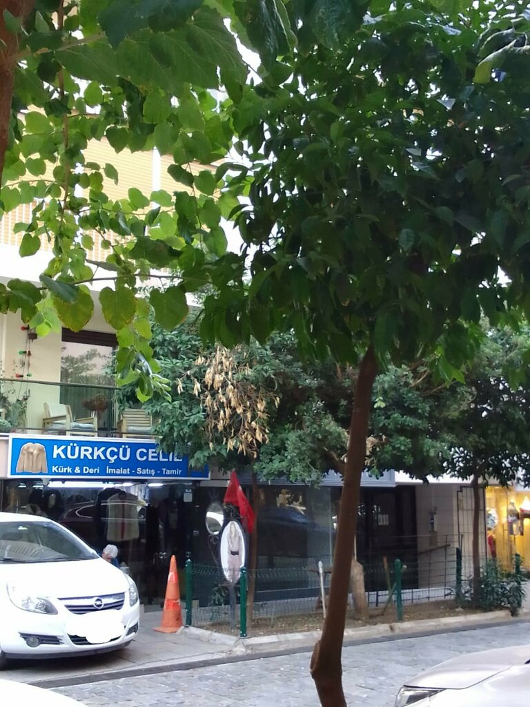 Fur and leather shop Kurkcu Celil, Izmir, photo