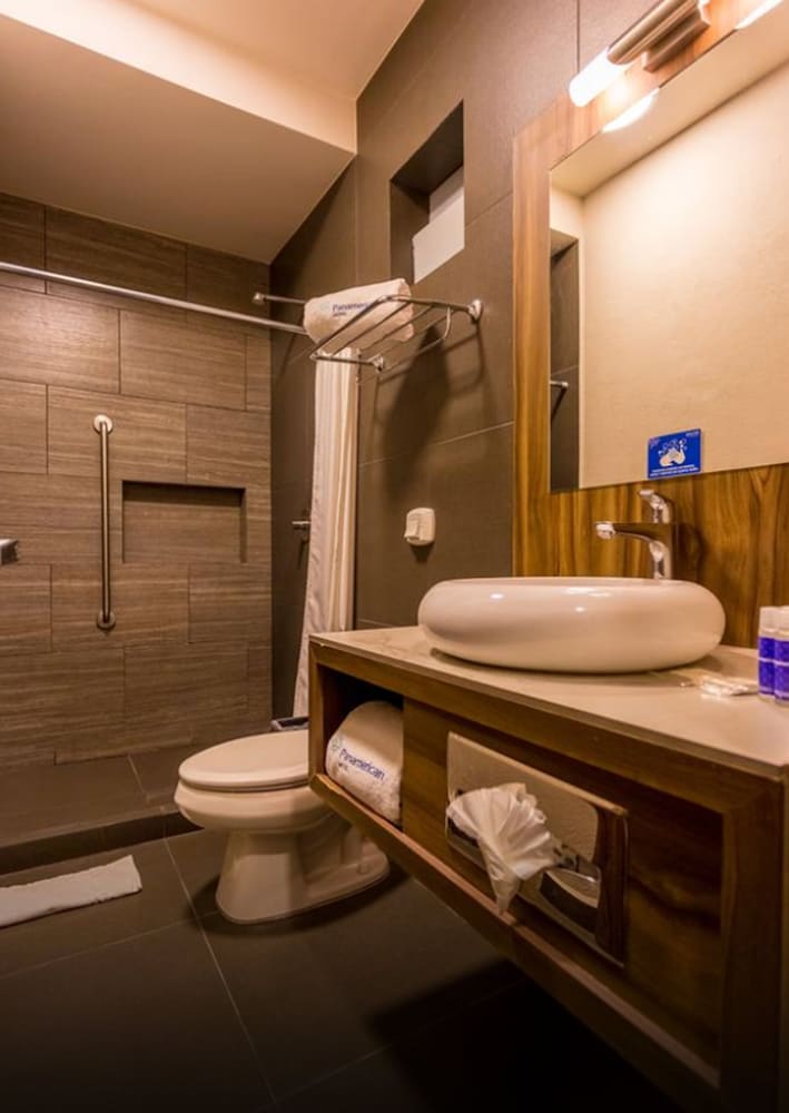 Фото Hotel Panamerican