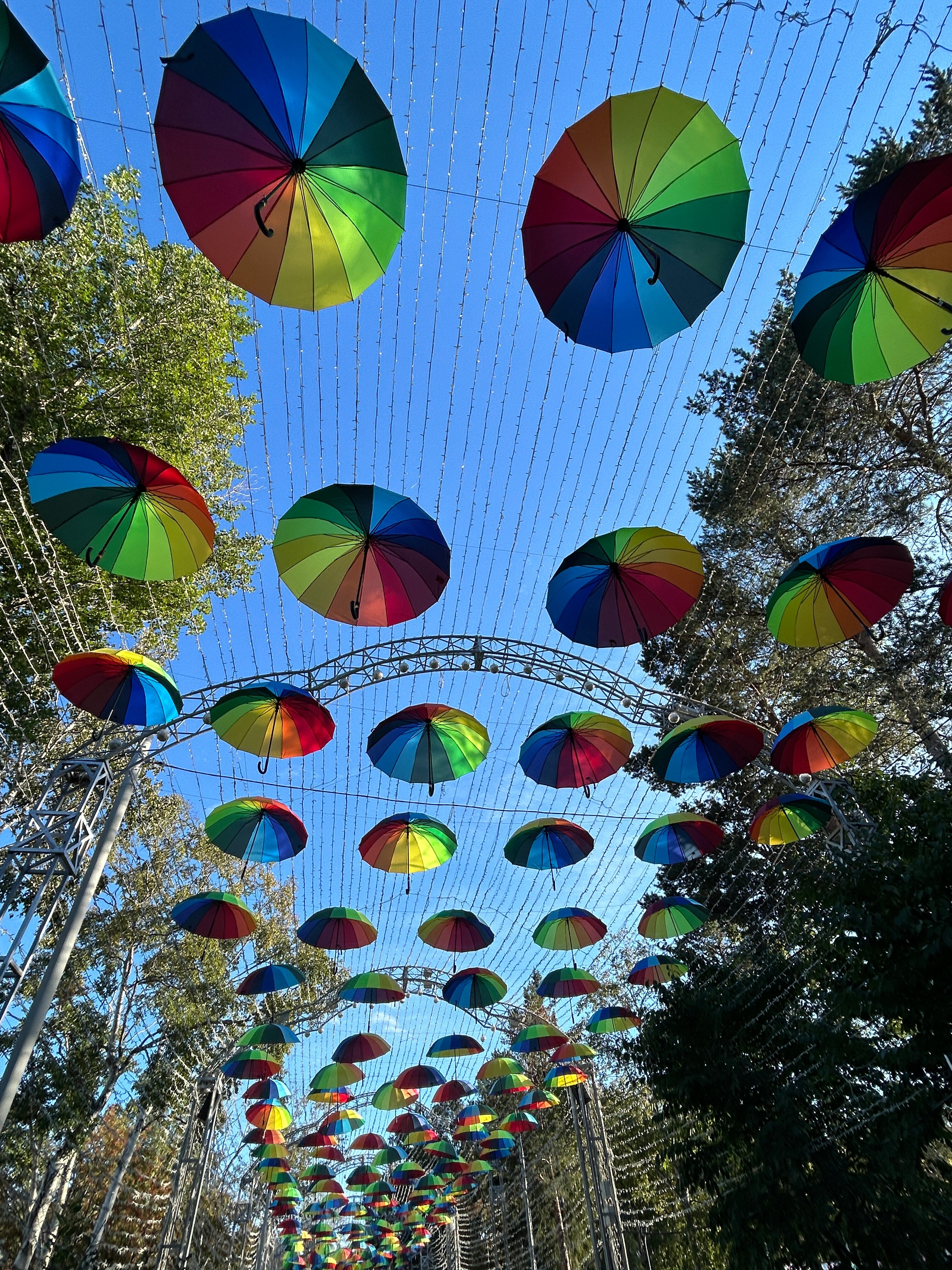 Фото Мега Палас