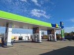 Ortk (Moscow Region, Istra City District, selo Novopetrovskoye), gasolinera