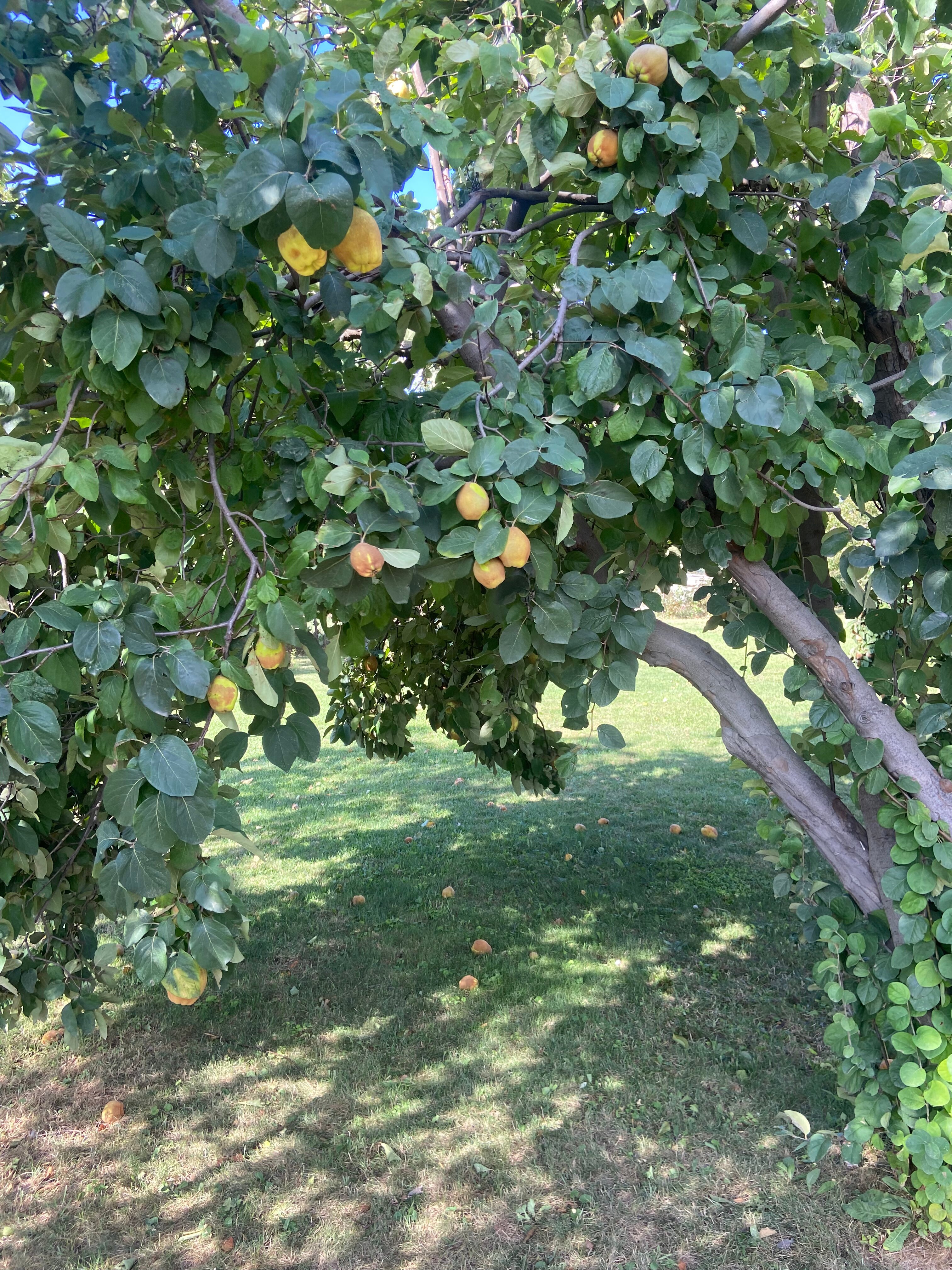 Фото АртОтель