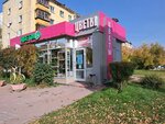 Orchid (Pobedy Street, 2к1) ، محل زهور