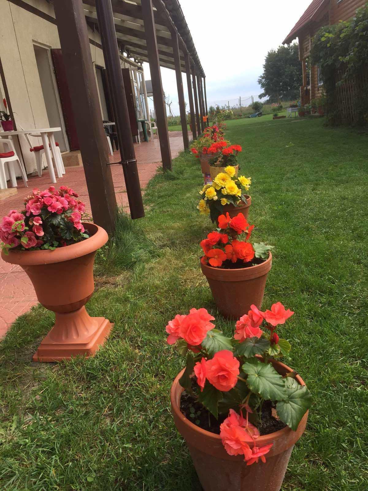 Фото Отдых на Куршской косе