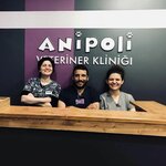 Anipoli Veterinary Clinic (İstanbul, Beyoğlu, Cihangir Mah., Havyar Sok., 4) ، عيادة بيطرية