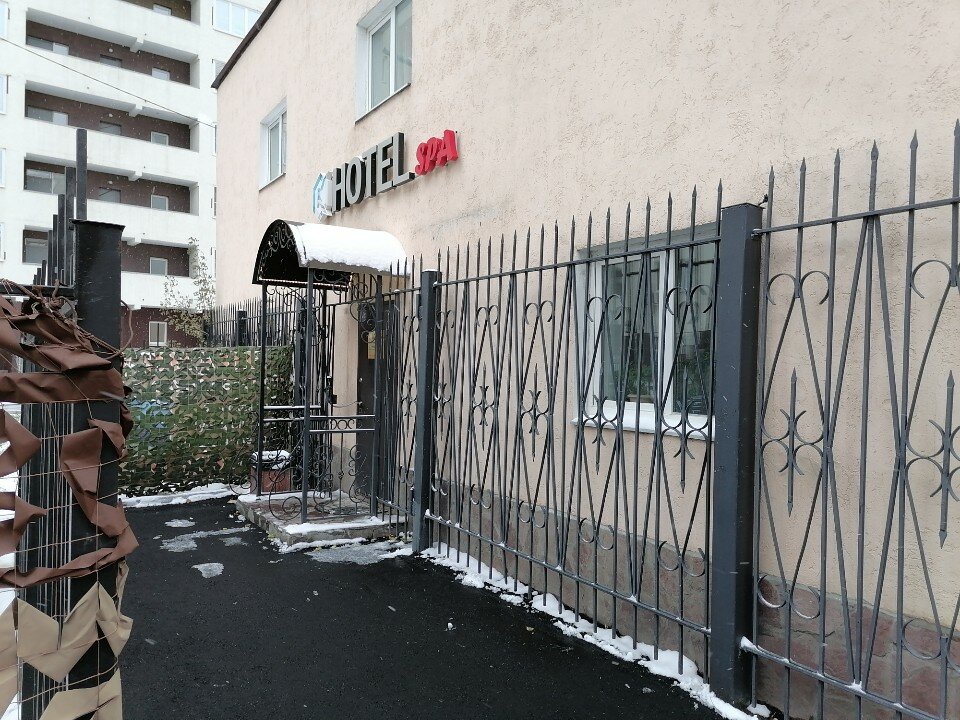 Фото Кипарис