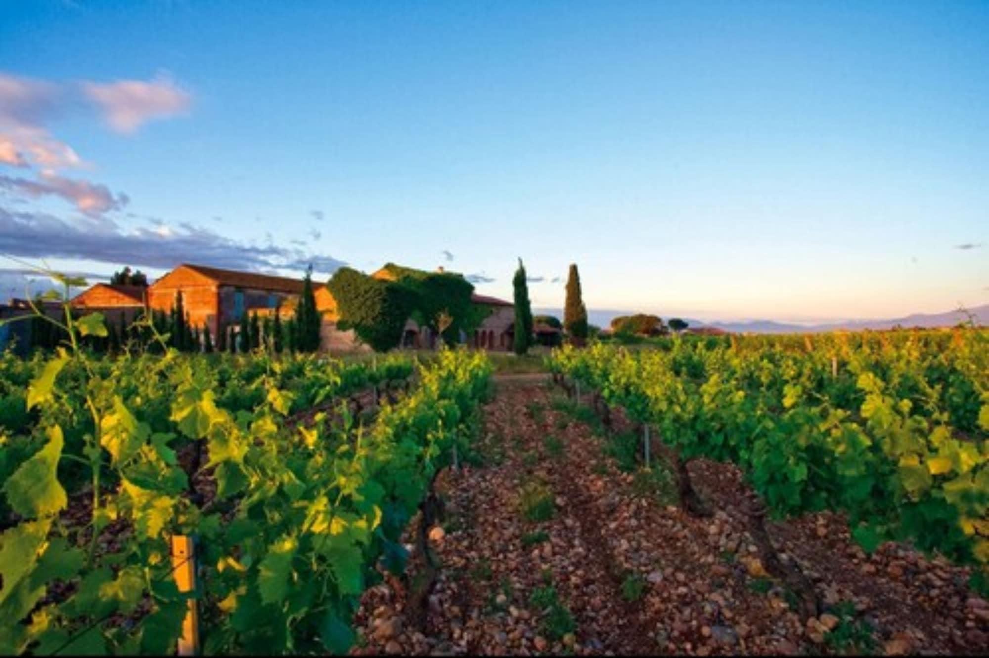 Фото Ibis Styles Perpignan Canet-en-Roussillon