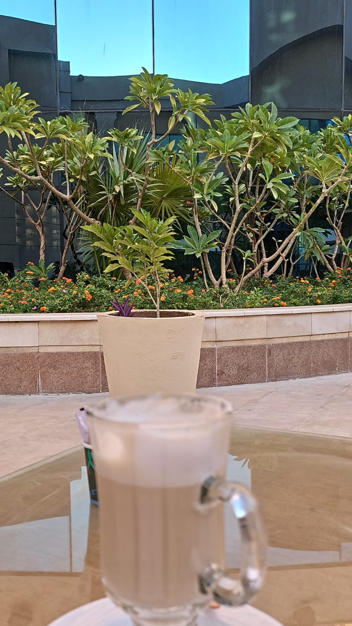 Фото Tolip Golden Plaza