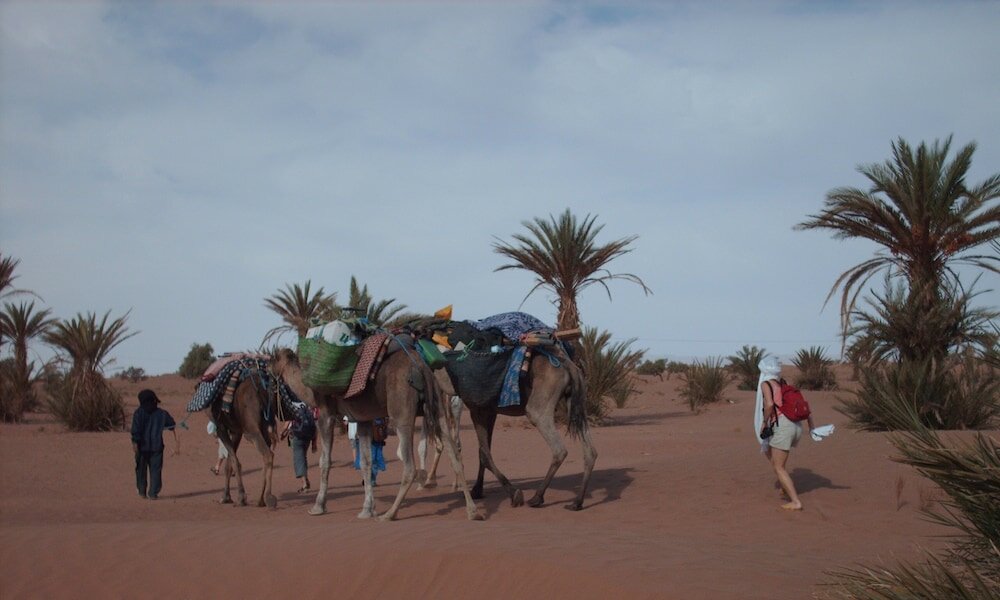 Фото La Dune Blanche
